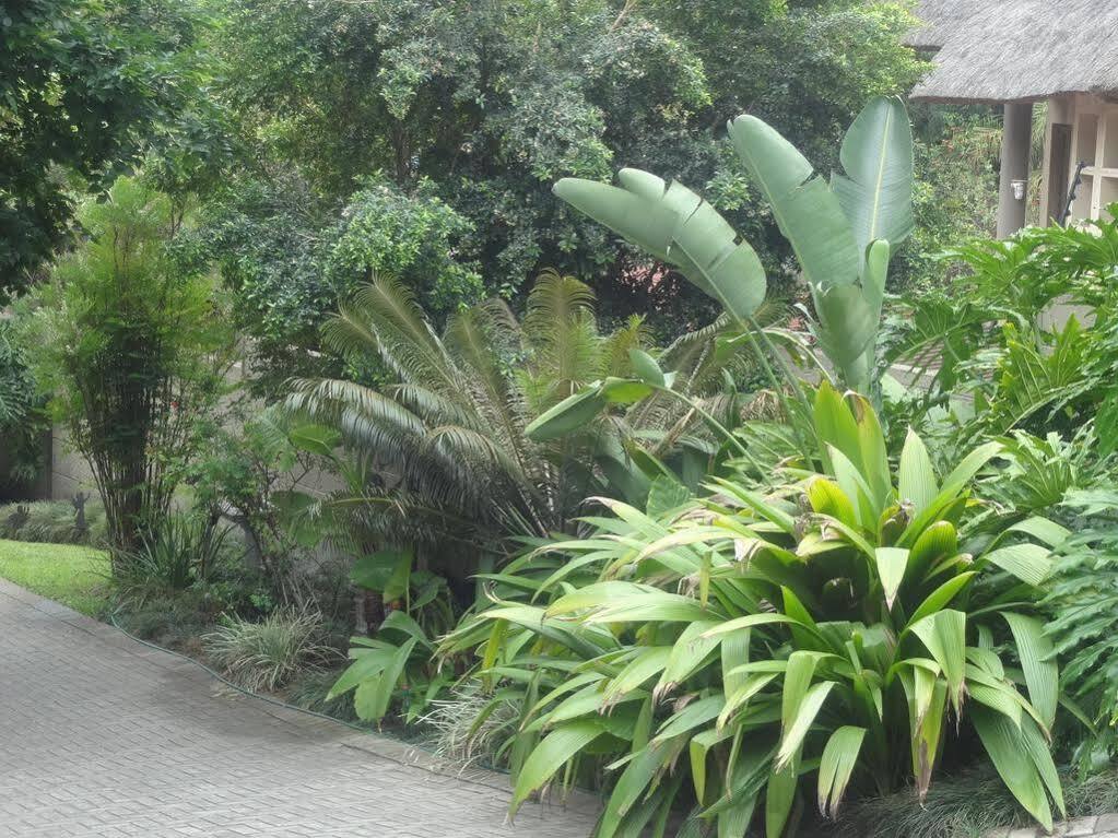 Mariu Upmarket Accommodation Mbombela Ngoại thất bức ảnh